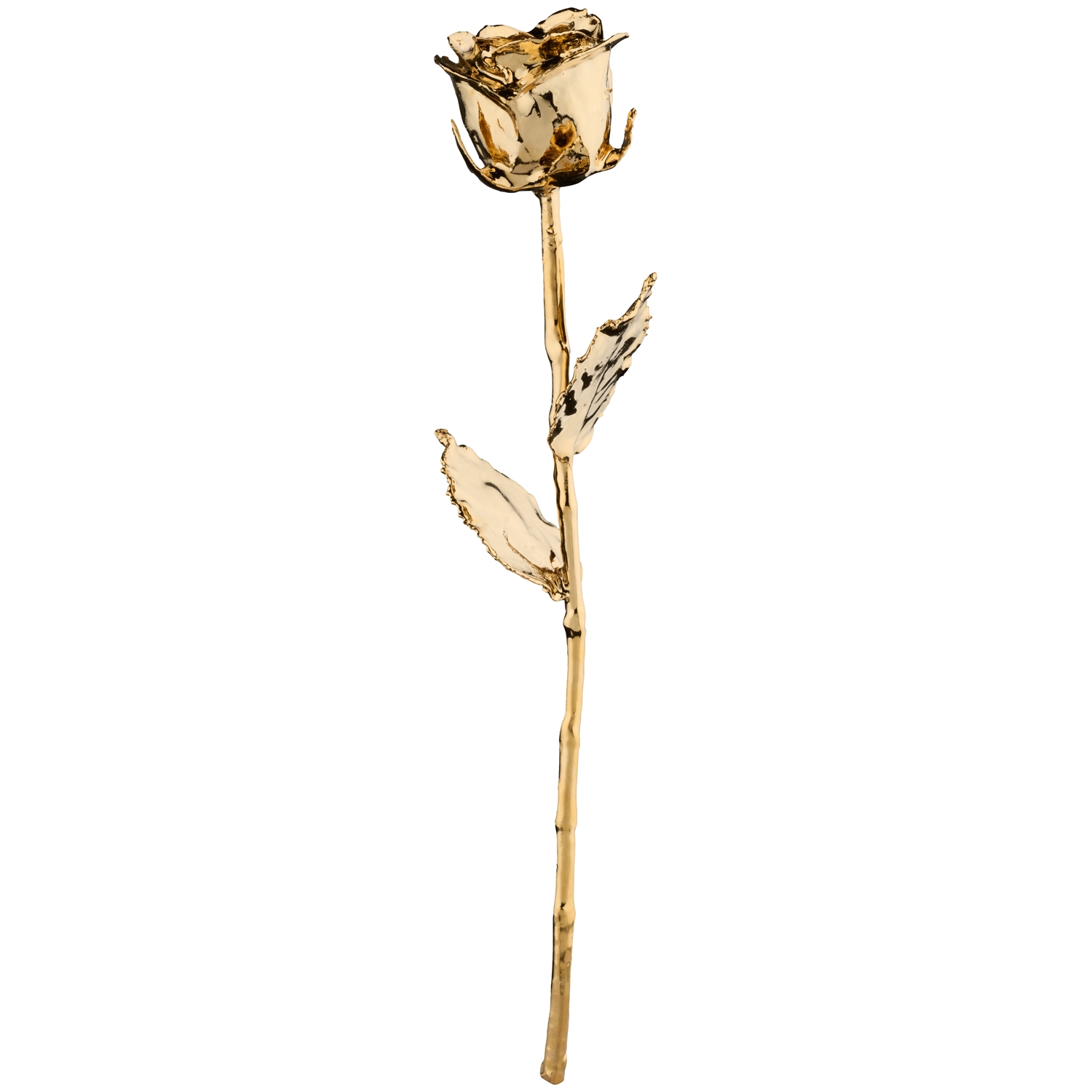 24k Golden Rose   Guld fra Mikamax